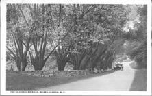 SA1405.14 - Old Shaker road with trees, stone walls, car.  Identified on the front., Winterthur Shaker Photograph and Post Card Collection 1851 to 1921c